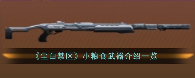 尘白禁区小型武器详细介绍