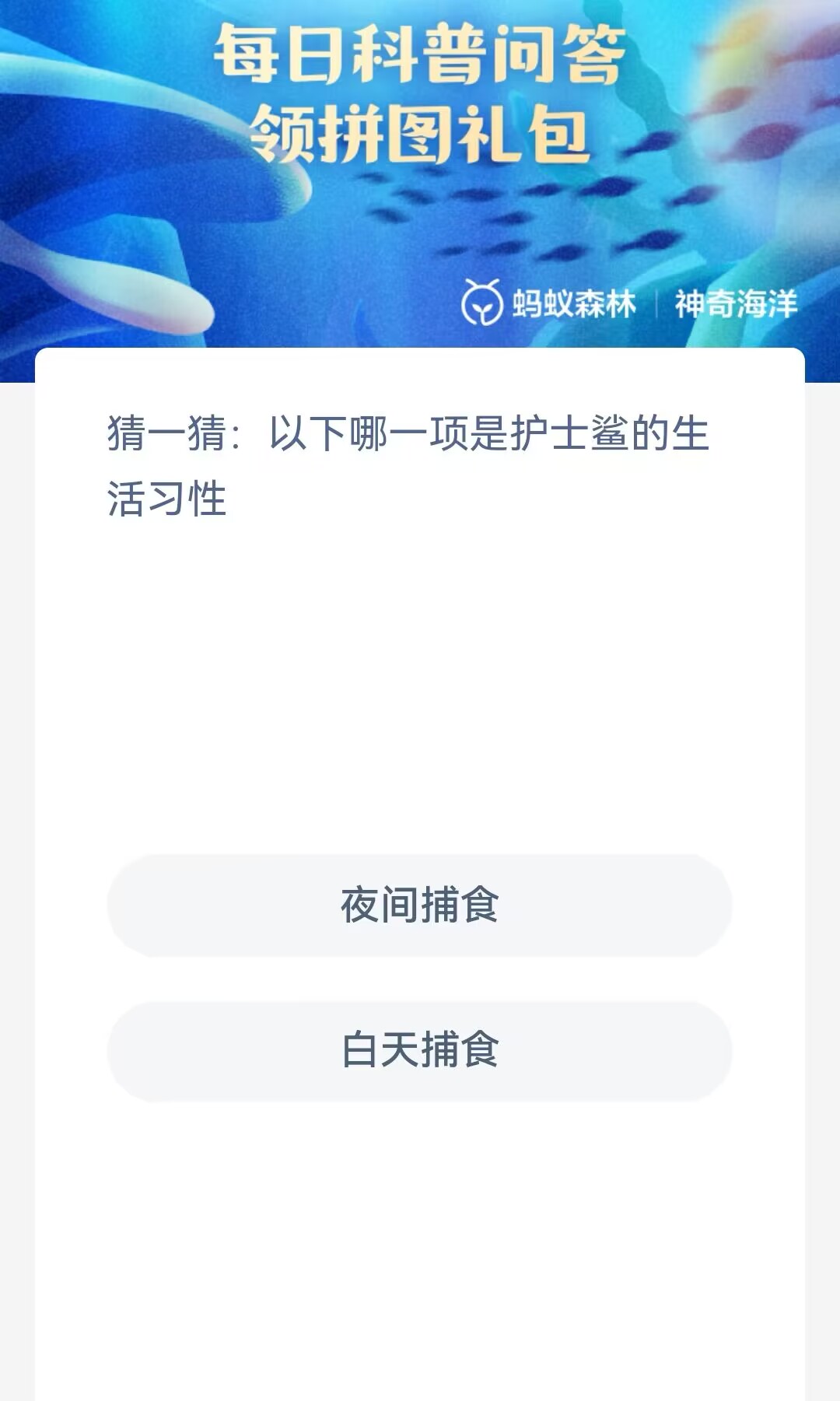 护士鲨的生活习性，你知道吗？